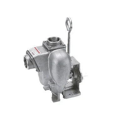 Other Pumps