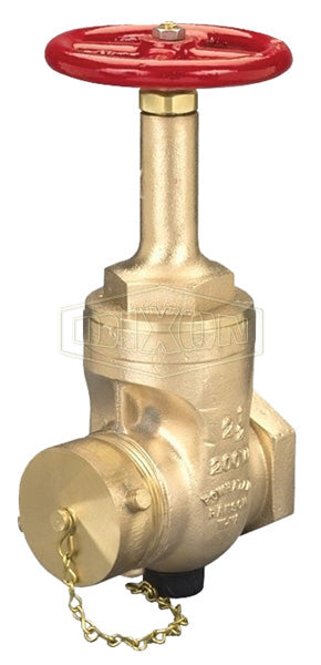 RWDGV3025F Dixon Rising Stem Wedge Disc Gate Valve - 3" Female NPT Inlet x 2-1/2" Male NST(NH) Outlet - 300 PSI