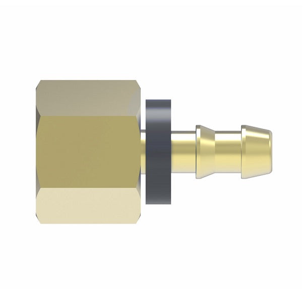 4753-8-8B Aeroquip by Danfoss | Female Pipe Socketless Reusable Hose Fitting | -08 Female Pipe x -08 Push-On Hose Barb | Brass