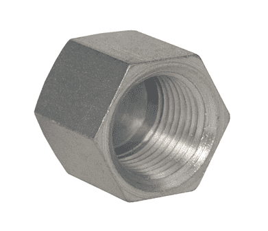 5406C-2 Dixon Valve Zinc Plated Steel Female NPTF Hex Cap - 1/8"-27 Female NPTF Pipe