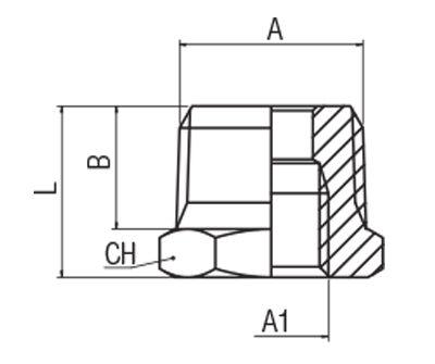62080-3/8"-1/8 by AIGNEP | 60/62 Series | Reducer | 3/8" Male BSPT x 1/8" Female BSPP | Stainless Steel