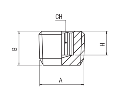 62325-3/8 by AIGNEP | 60/62 Series | Male Plug | Internal Hex | DIN 906 | 3/8" BSPT | Stainless Steel