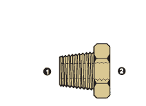 8038-06-04 by AdaptAll | -06 Male BSPT x -04 Female BSP | Solid Adapter | Brass