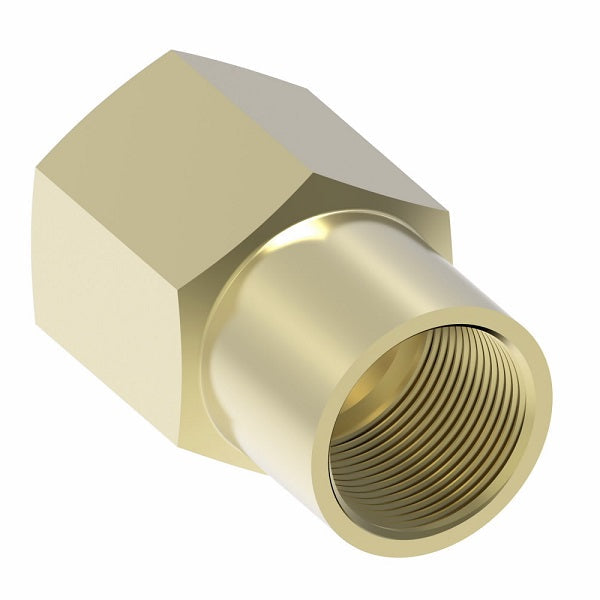 252X5 by Danfoss | Inverted Flare Female Connector | 1/8" Female NPTF x 5/16" Female SAE Inverted Flare | Brass