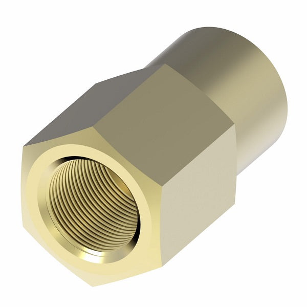 252X4 by Danfoss | Inverted Flare Female Connector | 1/8" Female NPTF x 1/4" Female SAE Inverted Flare | Brass