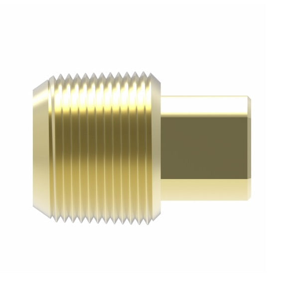 3151X2 by Danfoss | Pipe Adapter | Square Head Plug | 1/8" Male NPTF (Short Thread) | Brass