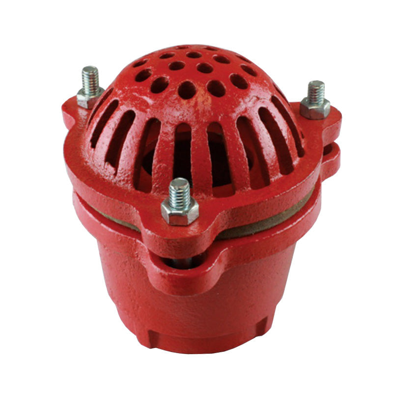 FV150 by Jason Industrial | Foot Valve for Water Suction Hose | 1-1/2" Female NPS