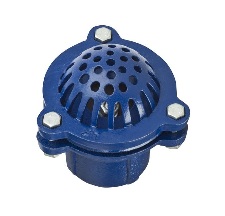 FV800 by Kuriyama | FV Series | Foot Valve | 8" Female NPT | Cast Iron