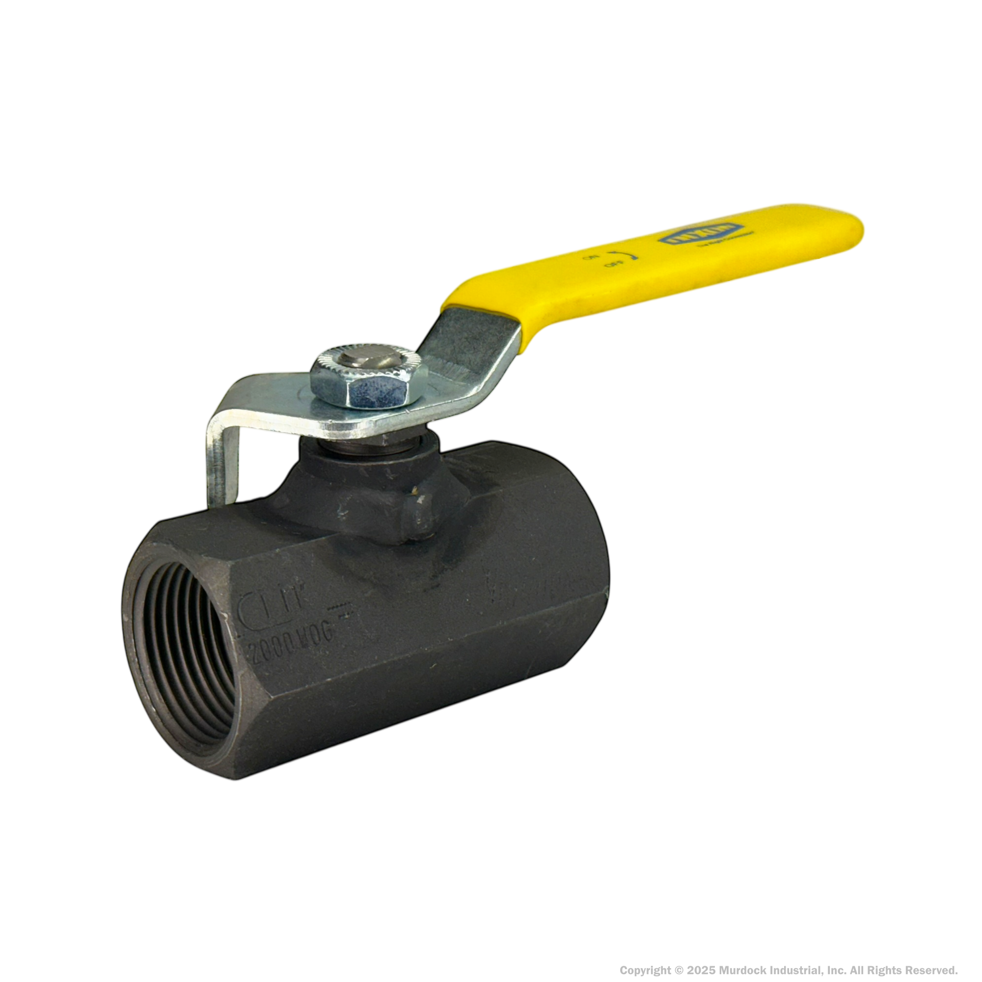 IBV100 by Dixon Valve | Ball Valve | Standard Port | 1" Female NPT x 1" Female NPT | Carbon Steel