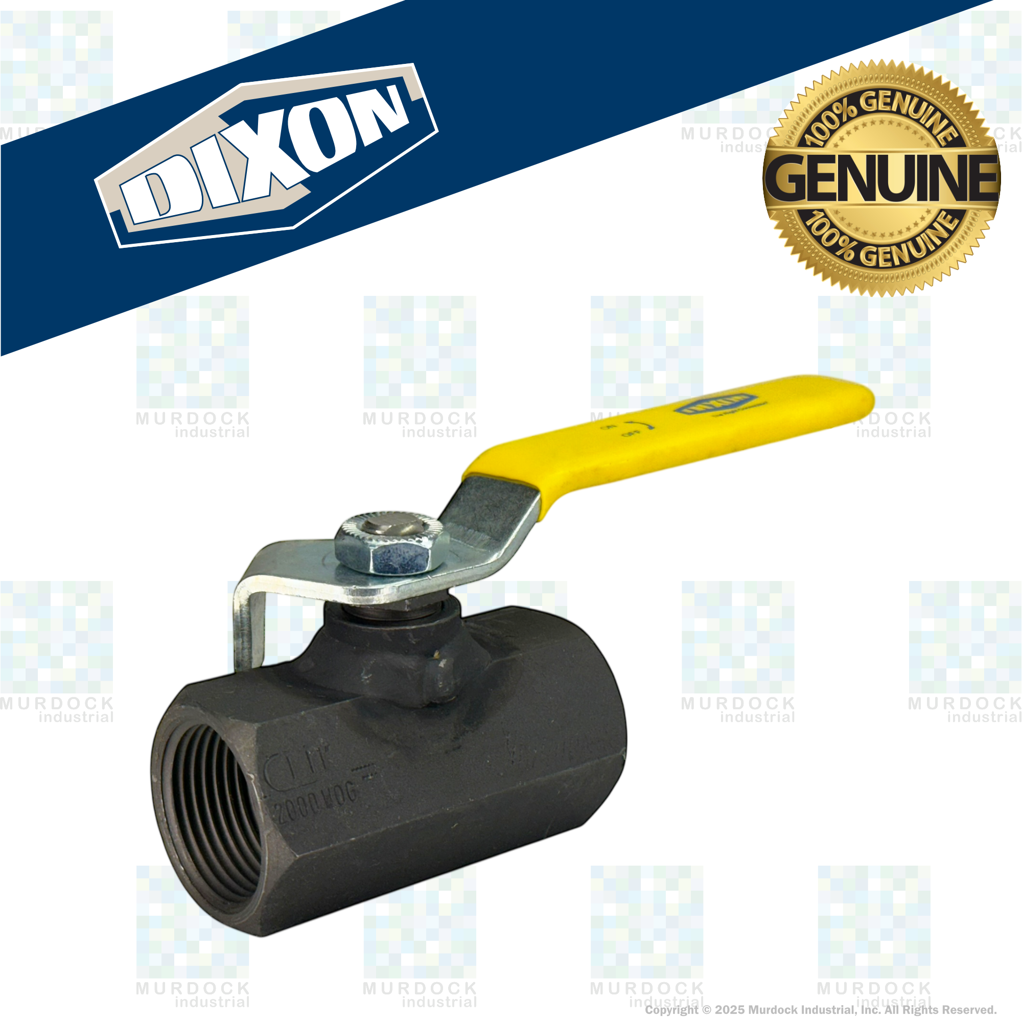 IBV100 by Dixon Valve | Ball Valve | Standard Port | 1" Female NPT x 1" Female NPT | Carbon Steel
