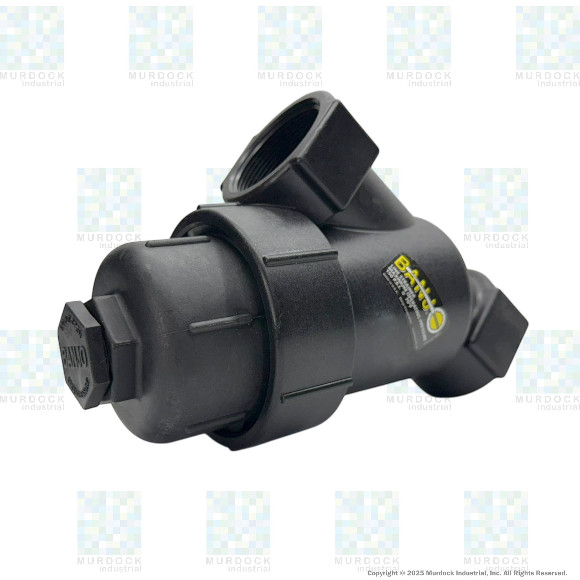 LS200-120 by Banjo | Line Y Strainer | 2" x 2" Female NPT with 120 Mesh Stainless Steel Screen | 150 PSI | Polypropylene