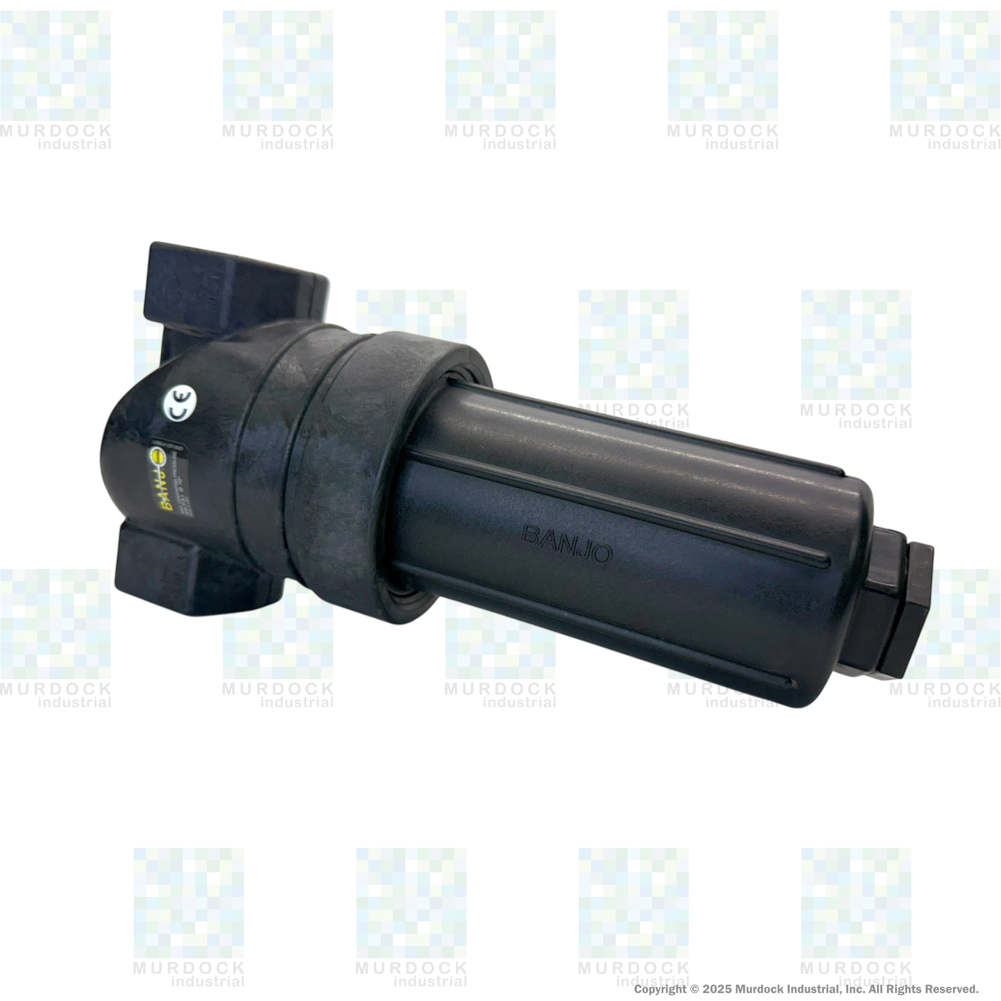 LST100-30 by Banjo | T Line Strainer | 1" x 1" Female NPT with 30 Mesh Stainless Steel Screen | 300 PSI | Polypropylene