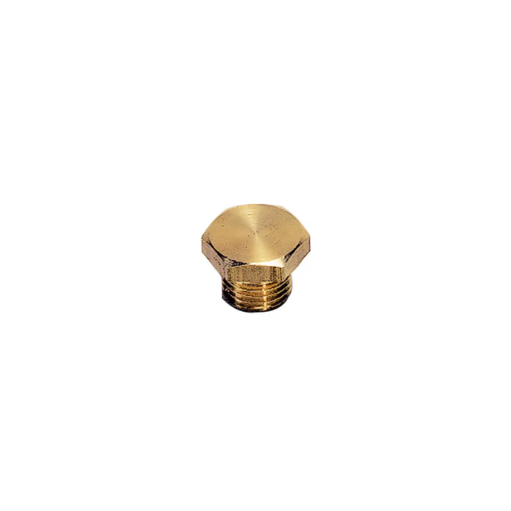 0200 52 00 by Parker | Legris Hex Head Plug | M6x1 Male M6 Metric Thread | 10 mm Hex | 10 mm Length | Brass | Pack of 50