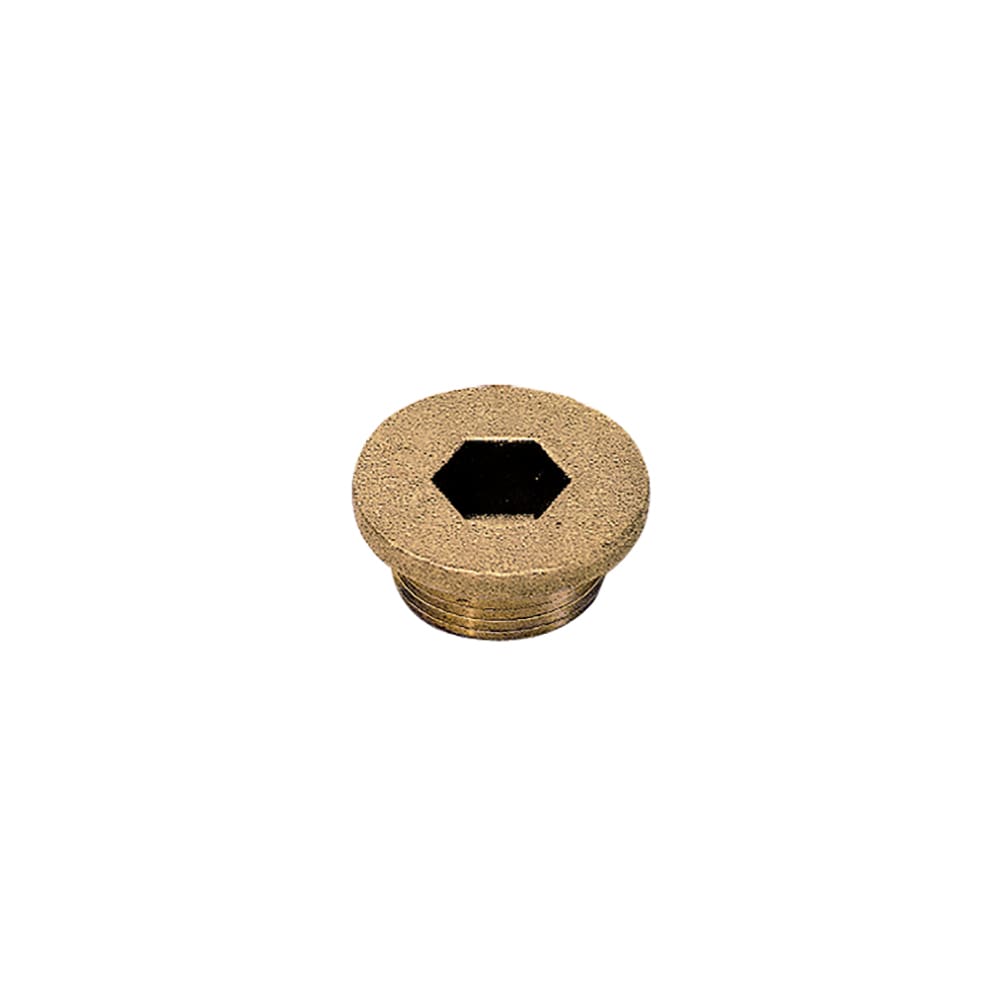 0202 65 00 by Parker | Legris Internal Hex Head Plug w/ Collar | M12x1 Male M12 Metric Thread | 6 mm Hex | 11 mm Length | Brass | Pack of 10