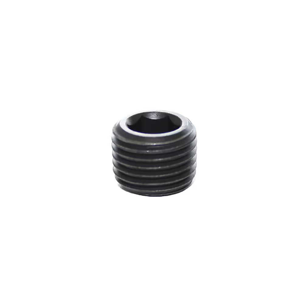 0206 13 00 by Parker | Legris Internal Hex Head Plug | 1/4" Male BSPT Thread | 5 mm Hex | 8 mm Length | Steel | Pack of 50