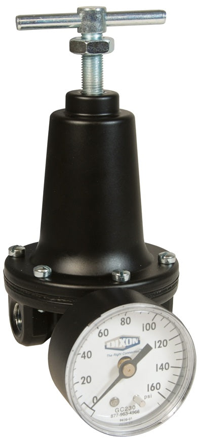 R119-02CG Watts by Dixon Valve | R119-Series | Standard Regulator | 1/4" Size | 100 SCFM | with Gauge | 2 - 125 PSIG Pressure Range