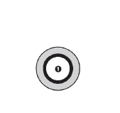 SS9500-02 by AdaptAll | -02 Bonded Seal for British Thread | Stainless Steel