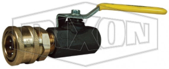 IBV50BOV by Dixon Valve | Hydrostatic Test Pump | Bleed-Off Valve x Quick Disconnect Socket