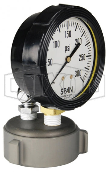 AFC250F-TGWP Dixon Aluminum Cap Test Gauge - 2-1/2" Female NST(NH)