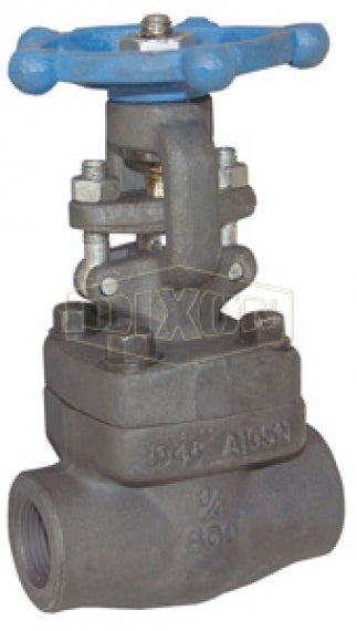 FSGV200 by Dixon Valve | Gate Valve | 2" Female NPT x 2" Female NPT | Forged Steel