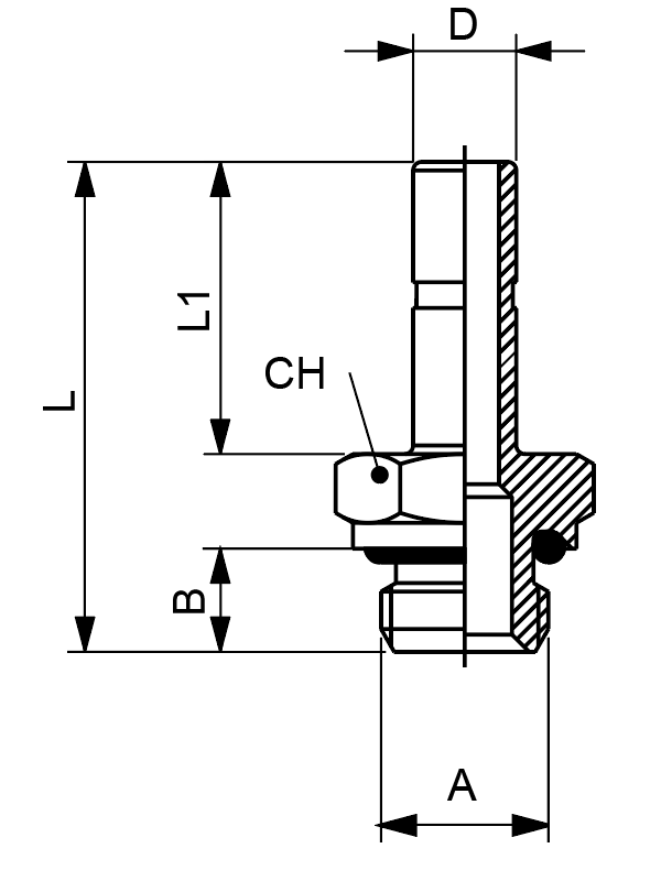 50600-10-1/8 by AIGNEP | 57 Series | 10mm x 1/8" BSPP Mae | Adapter | Straight | Pack of 10