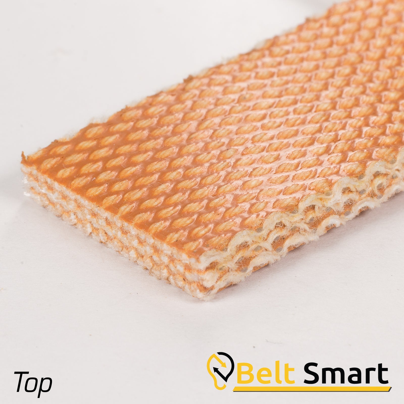 BS039 - #39 Beltservice 3 Ply CP30 Tan FS x FS Conveyor Belt