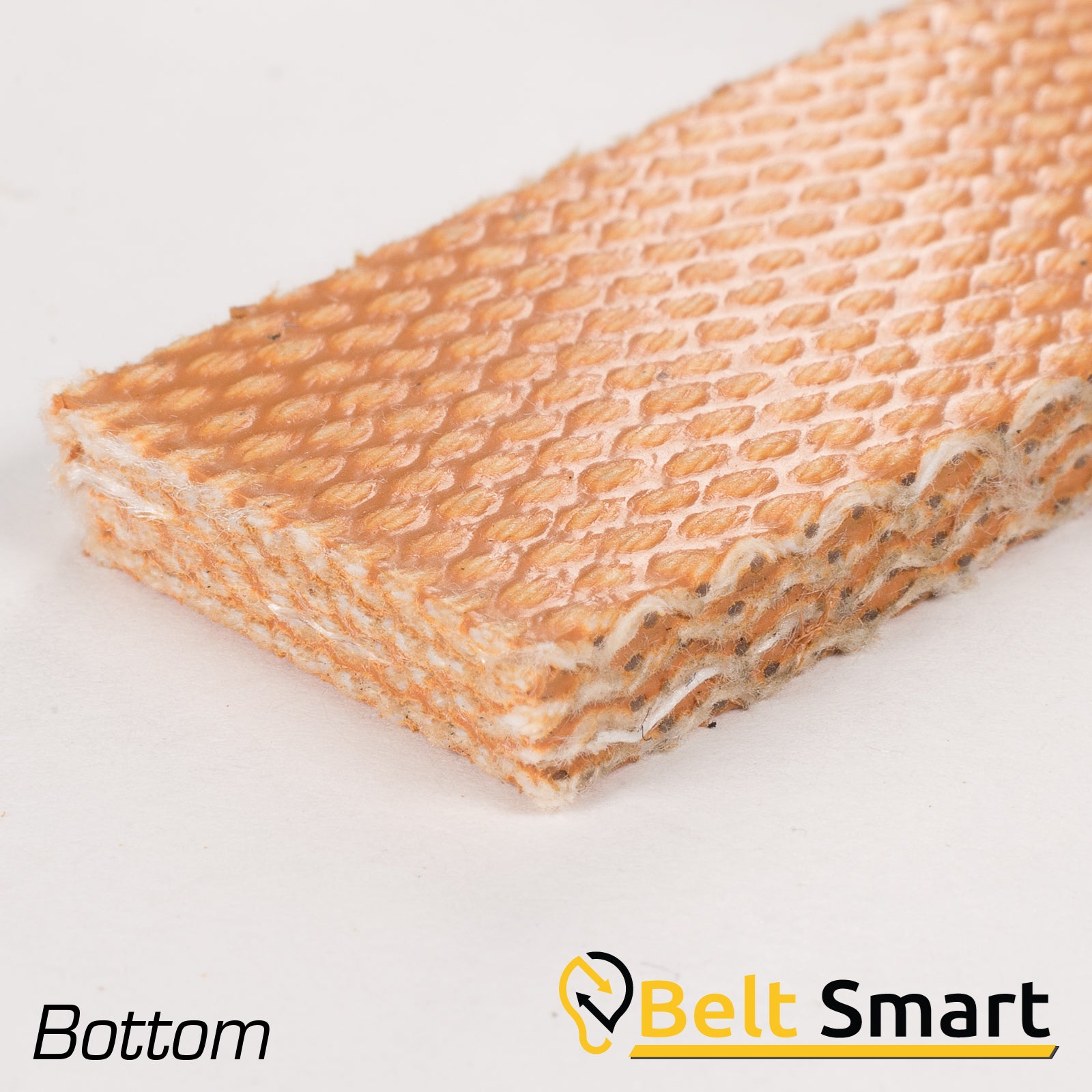 BS041 - #41 Beltservice 5 Ply CP 30 Tan FS x FS Conveyor Belt