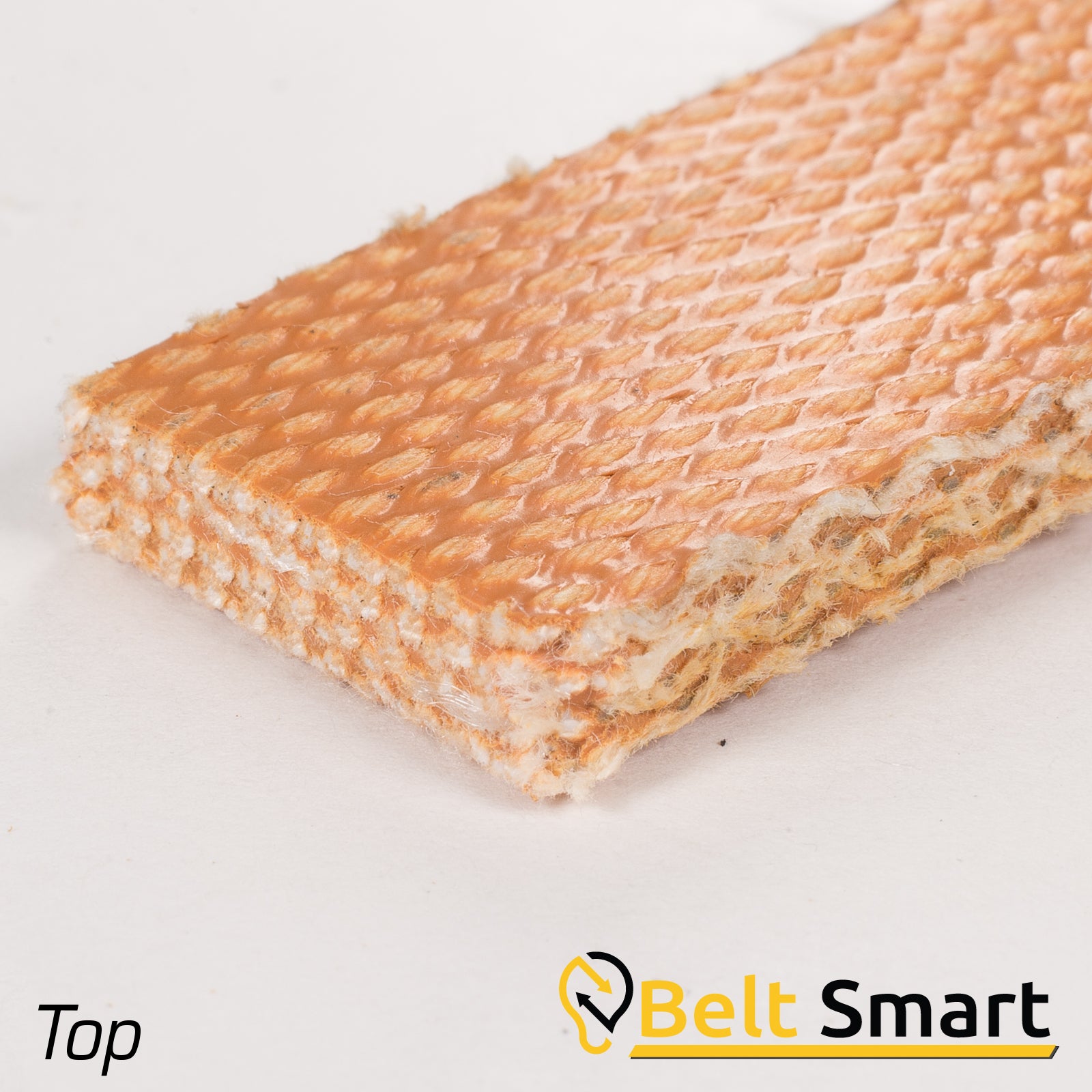 BS041 - #41 Beltservice 5 Ply CP 30 Tan FS x FS Conveyor Belt