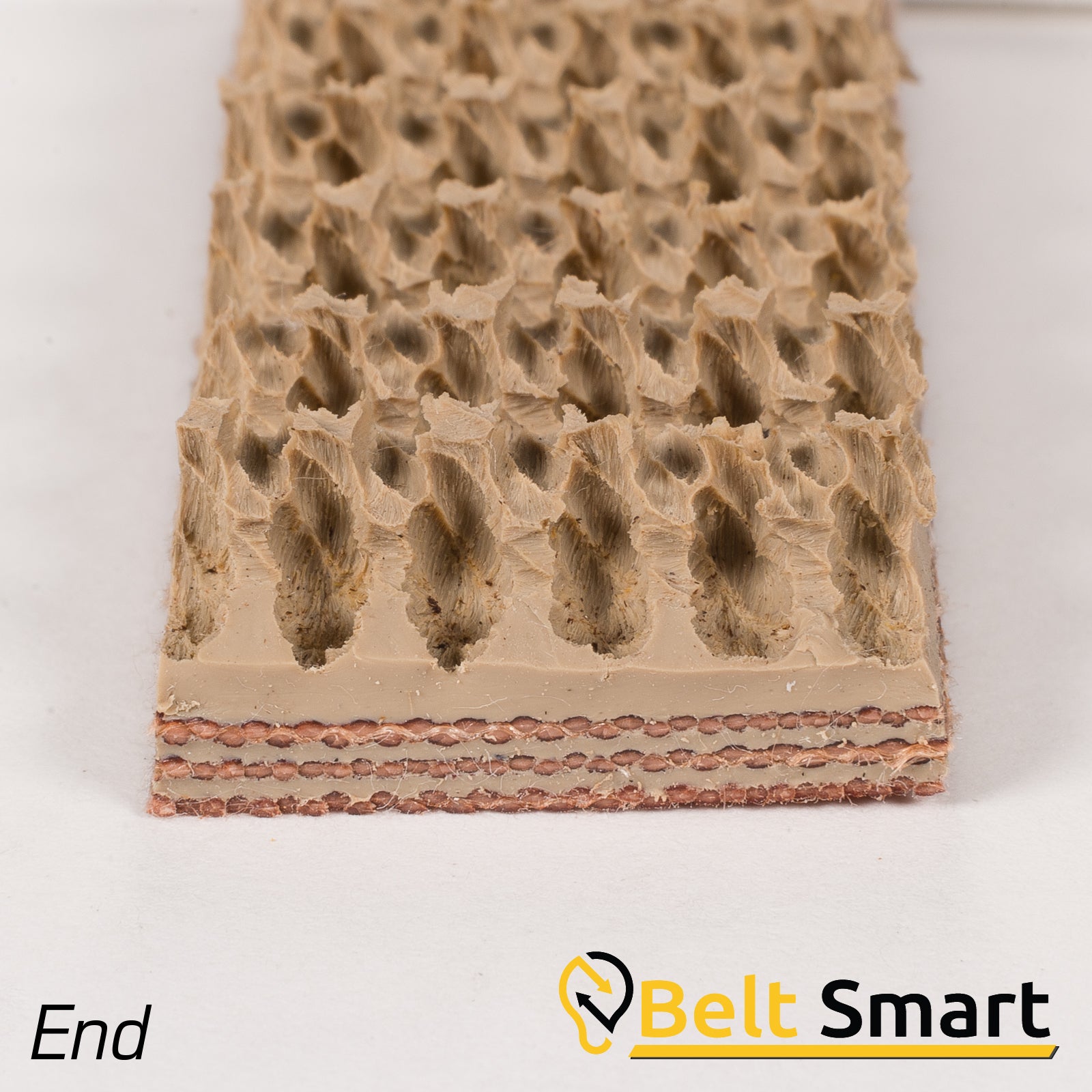 BS059B - #59b Beltservice 3 Ply 180 Tan Pure Gum Roughtop x Bare Conveyor Belt