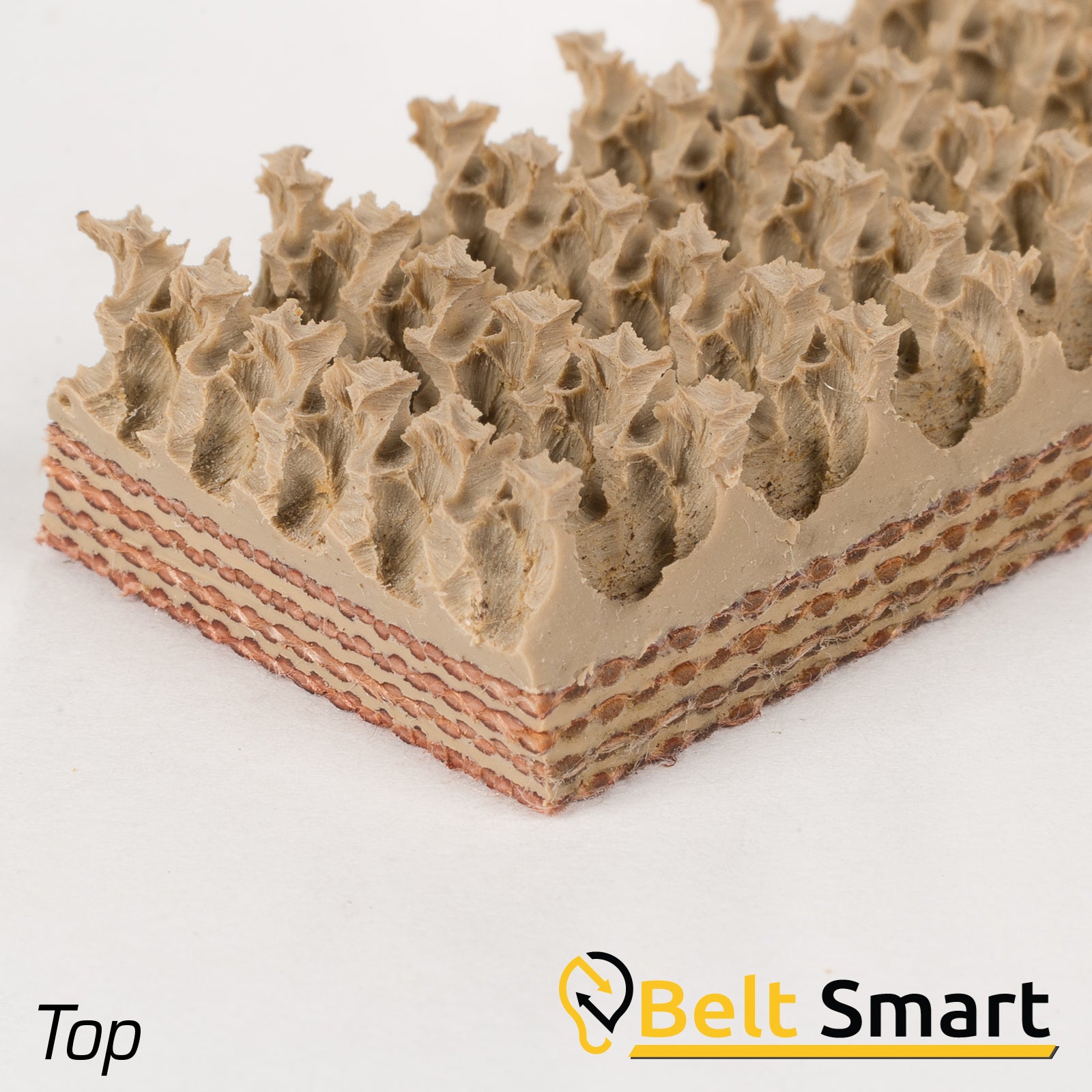 BS059C - #59c Beltservice 4 Ply 240 Tan Pure Gum Roughtop x Bare Conveyor Belt