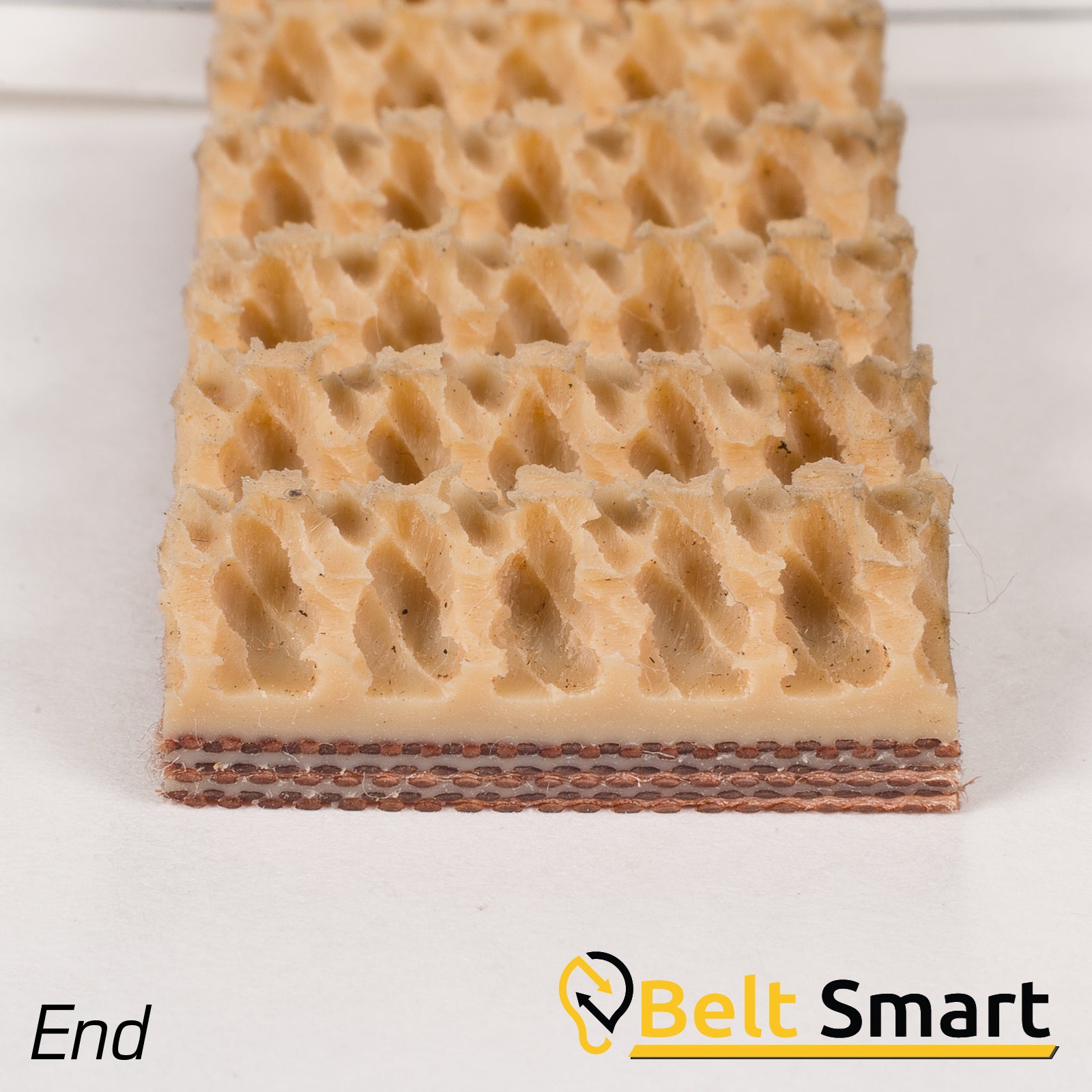 BS060A - #60a Beltservice 3 Ply 225 Tan Pure Gum Roughtop x Bare Conveyor Belt