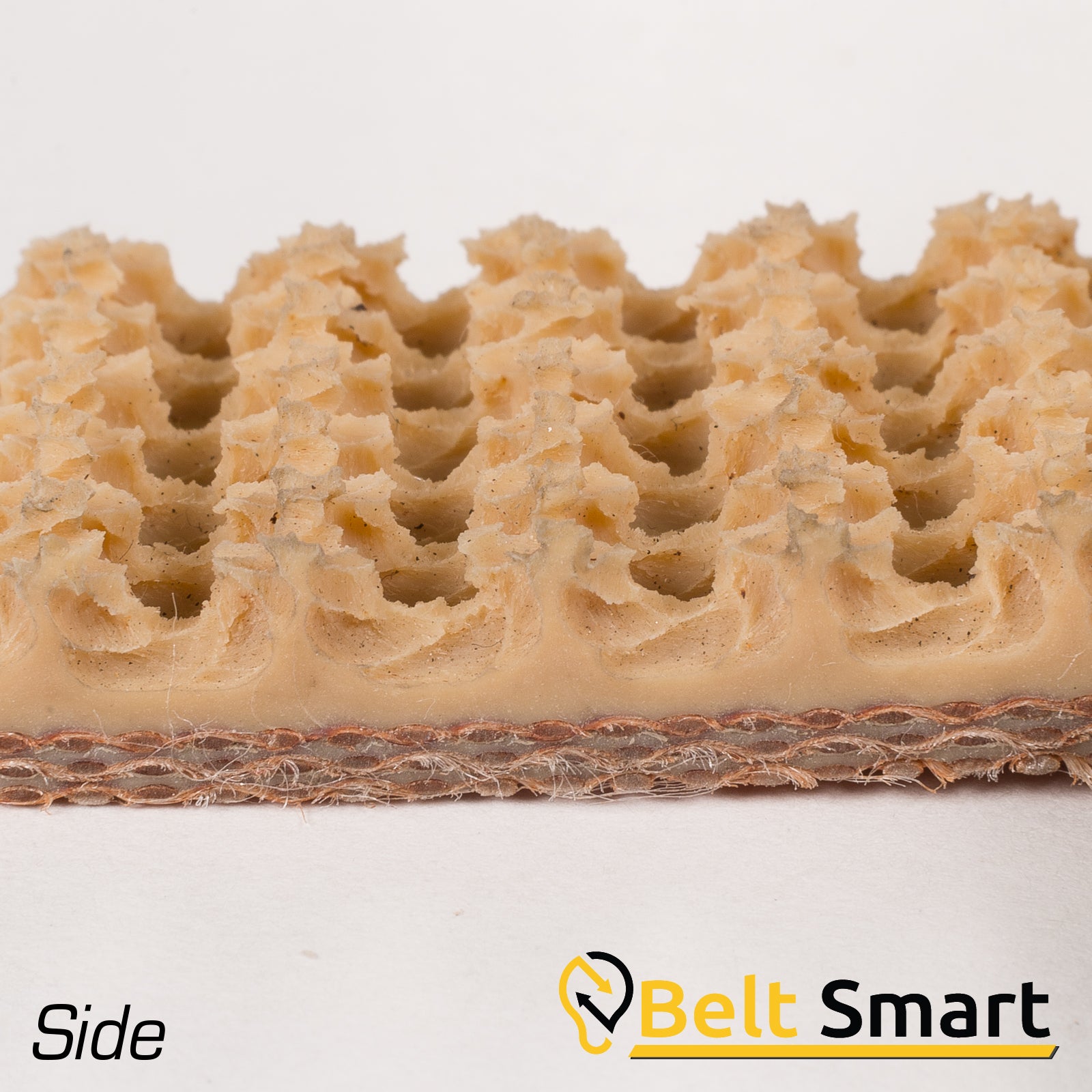 BS060A - #60a Beltservice 3 Ply 225 Tan Pure Gum Roughtop x Bare Conveyor Belt