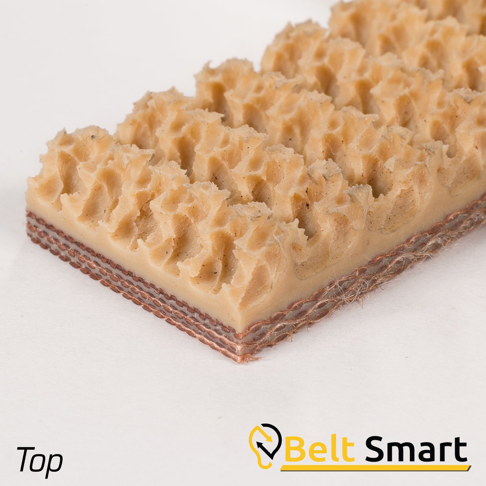 BS060A - #60a Beltservice 3 Ply 225 Tan Pure Gum Roughtop x Bare Conveyor Belt