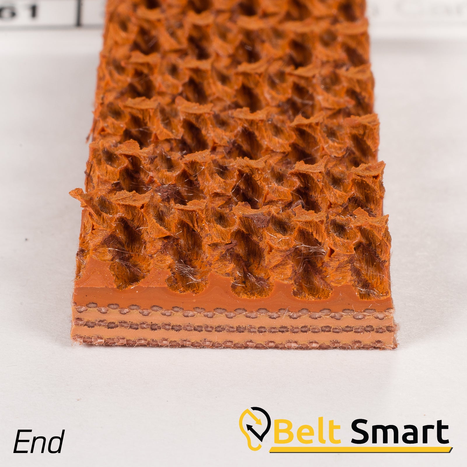 BS061 - #61 Beltservice 3 Ply 135 Tan Carbox Nitrile Roughtop x Bare Conveyor Belt