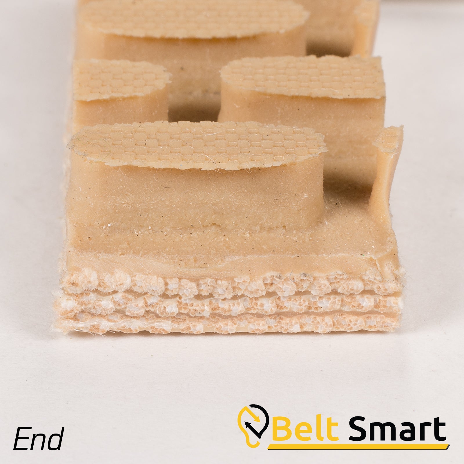 BS065 - #65 Beltservice 3 Ply CP30 Tan Genuine Pure Gum Steepgrade x FS Conveyor Belt