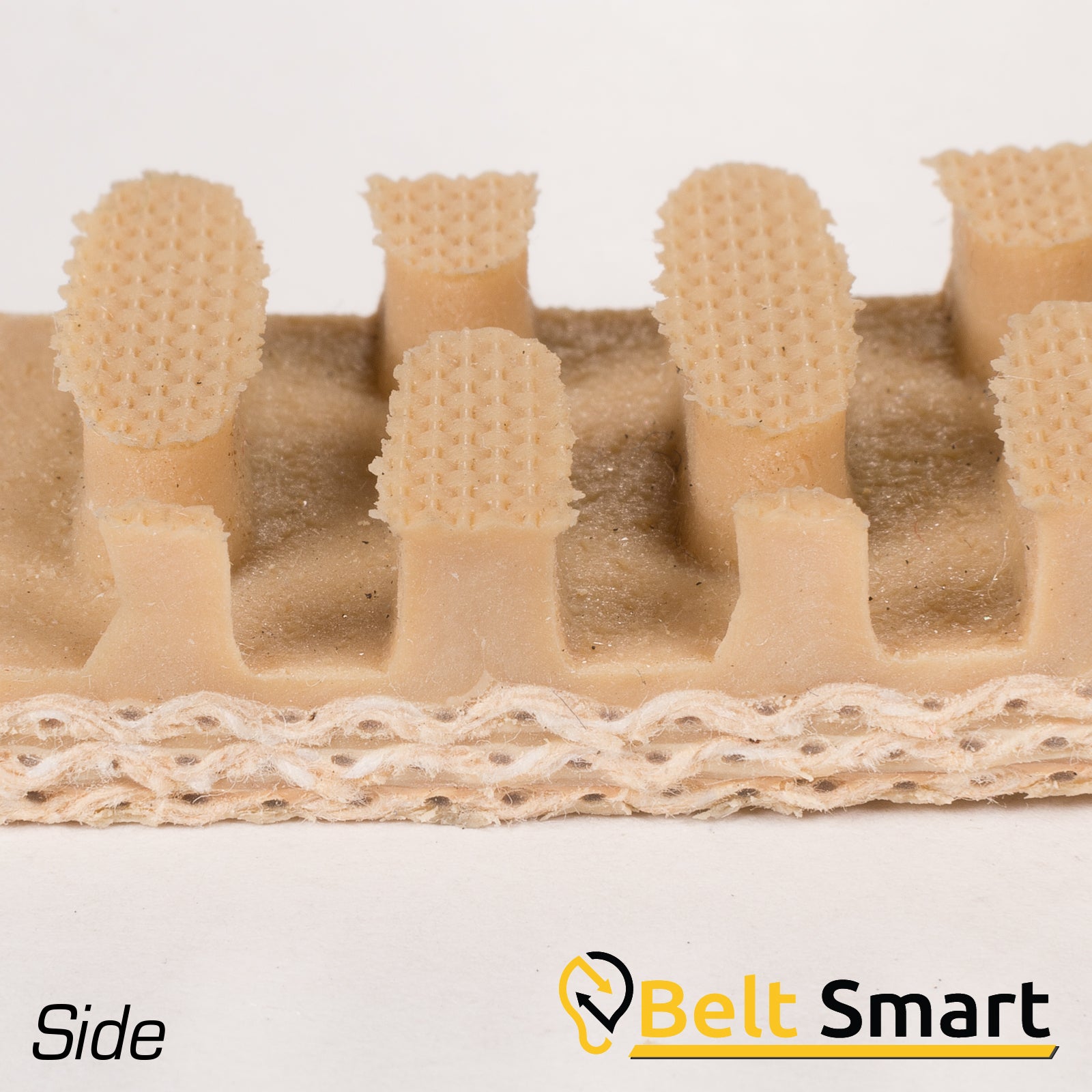 BS065 - #65 Beltservice 3 Ply CP30 Tan Genuine Pure Gum Steepgrade x FS Conveyor Belt