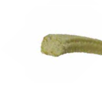 41605-3064 by Garlock | Style PM-5 Aramid Filament Packing | 1.000in | 10lb Spool