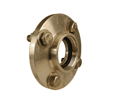 09-318-00001 Dixon Valve Brass International Shore Connection - Shore Side