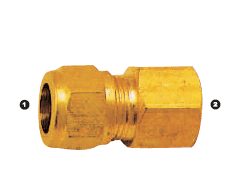 166-06-06 by AdaptAll | -06 Compression x -06 Female BSP | Solid Adapter | Brass