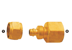 266-06-04 by AdaptAll | -06 Polytube Compression x -04 Female BSP | Solid Adapter | Brass