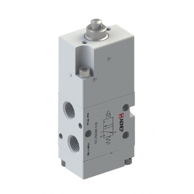 01VV03NC02 by AIGNEP | 01V Series | 3 way/2 position | Normally Closed | Servo-Piloted Tappet Spring Return | 1/8" BSPP