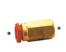 566-04-04 by AdaptAll | -04 Polytube Push to Connect x -04 Female BSP Solid | Brass