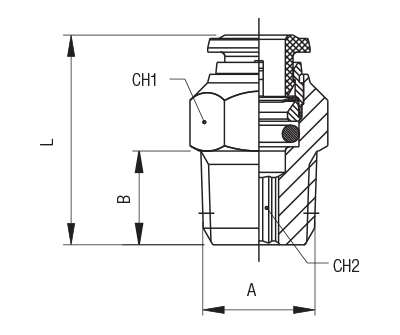 60000-8-1/8 by AIGNEP | 60/62 Series | Tube Push Connect | 8mm Tube (5/16") x 1/8" BSPT Male | Straight | FKM Seal | Stainless Steel