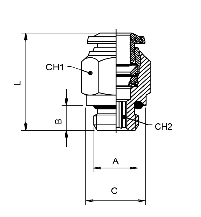 60020-6-1/8 by AIGNEP | 60/62 Series | 6mm Tube Push Connect x 1/8" Male BSPP | Straight | FKM Seal | Stainless Steel