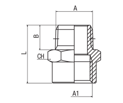 62040-1/2"-3/4 by AIGNEP | 60/62 Series | Reducer | BSPT 1/2" Male x 3/4 Female BSPP | Stainless Steel