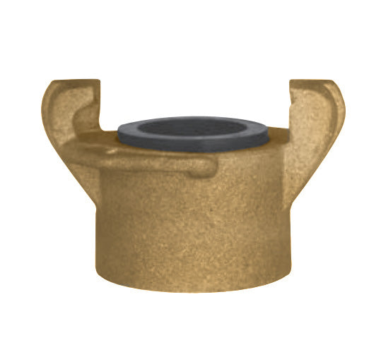 62911200 (12 DSB) by PT-Coupling | Type DSB | Sand Blast Coupling | Chicago-Style Coupler x Female NPT | 1-1/4" Size | Brass