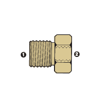 8039-04-04 by AdaptAll | -04 Male BSPP x -04 Female BSP | Solid Adapter | Brass