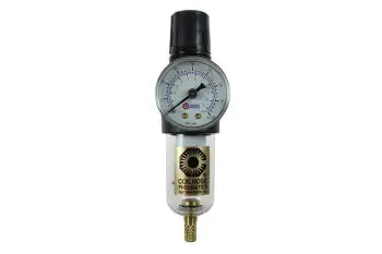 MFC2-GL by Coilhose | Miniature Series | Integral Filter/Regulator | 1/4" Female NPT Thread | Gauge | 0-50 PSI | 20 Micron Element