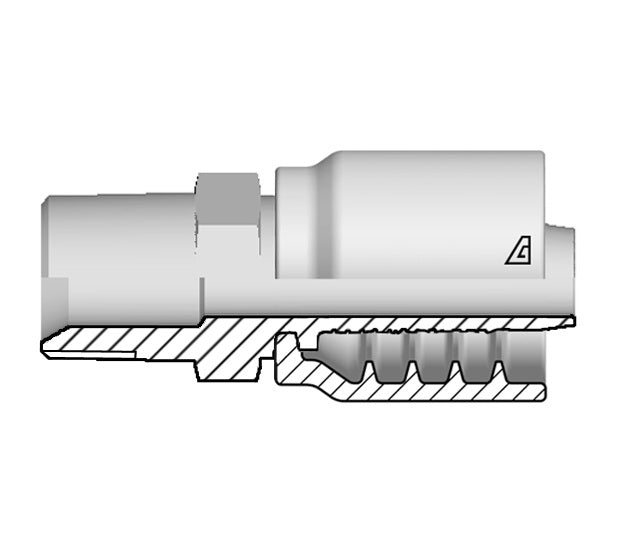 B-1216-MBPT Alfagomma by Kuriyama | B Series | One-Piece AlfaCrimp Hydraulic Hose Fitting | -12 Hose ID X -16 Male BSPT / JIS | Steel