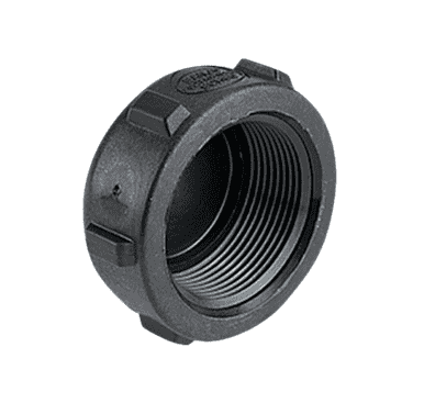 CAP200 by Banjo | Pipe Fitting for Pipe Caps | 2" Female NPT | 300 PSI | Polypropylene | Pack of 10